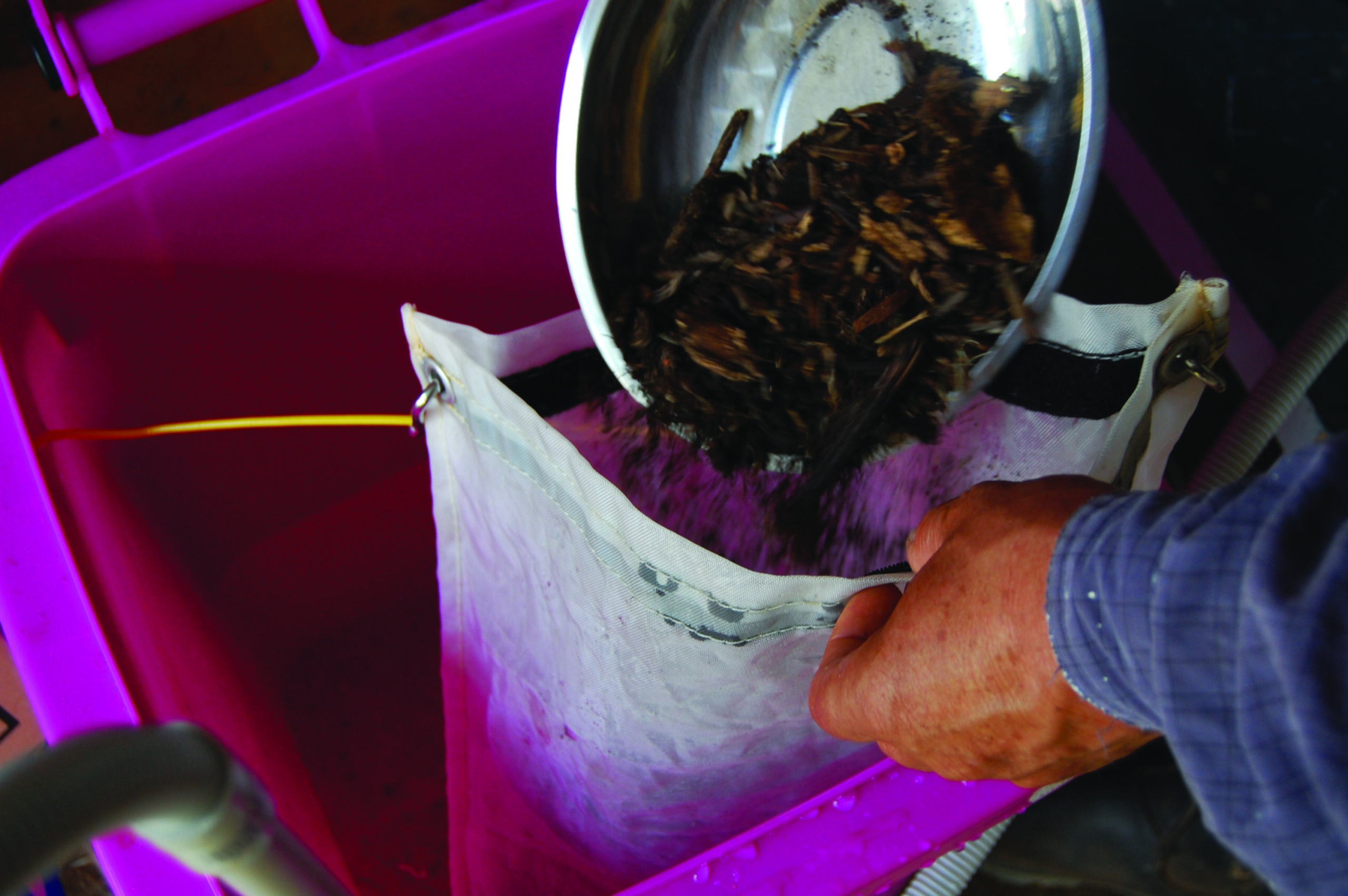 Adding compost to tea bag